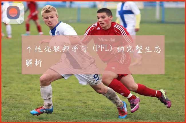 个性化联邦学习 (PFL) 的完整生态解析