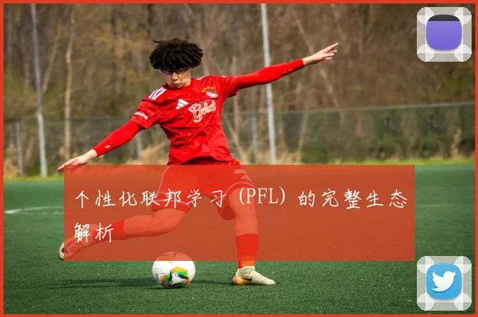 个性化联邦学习 (PFL) 的完整生态解析